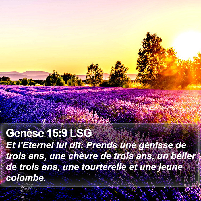 Genèse 15:9 LSG Bible Study