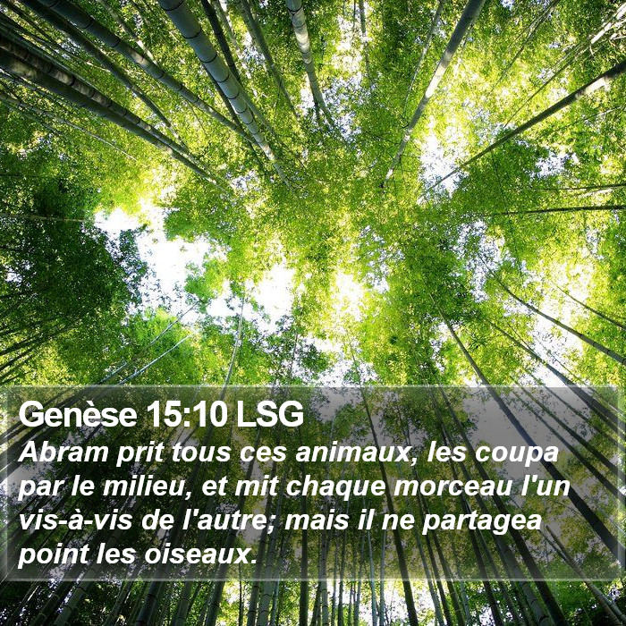 Genèse 15:10 LSG Bible Study