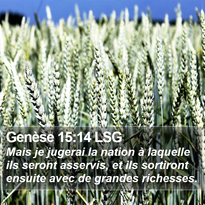 Genèse 15:14 LSG Bible Study