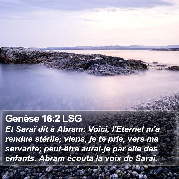 Genèse 16:2 LSG Bible Study