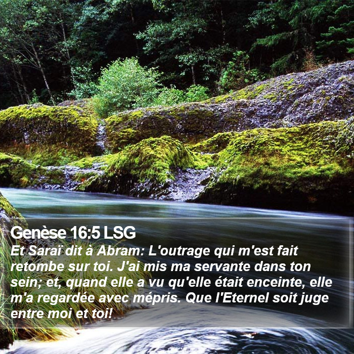 Genèse 16:5 LSG Bible Study