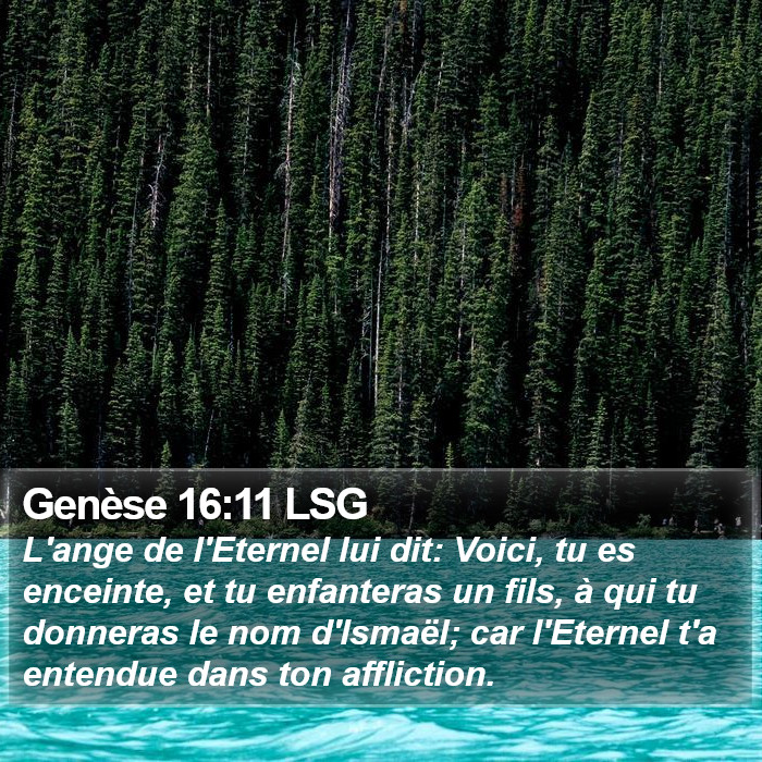 Genèse 16:11 LSG Bible Study