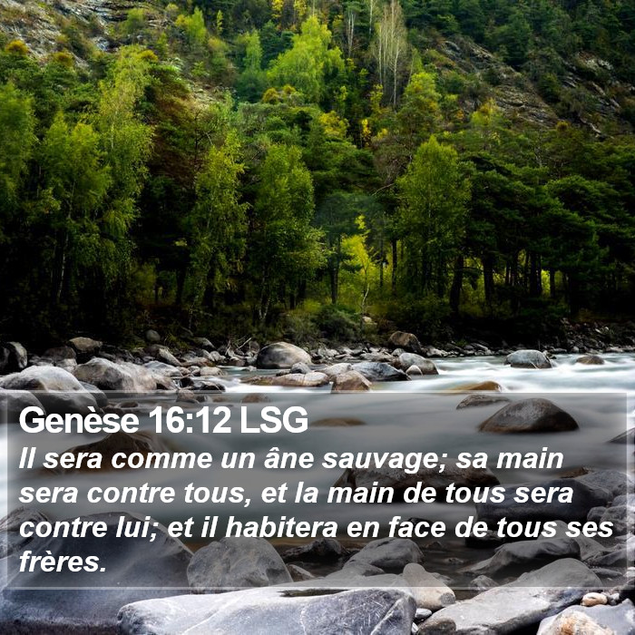 Genèse 16:12 LSG Bible Study