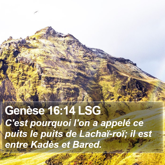 Genèse 16:14 LSG Bible Study