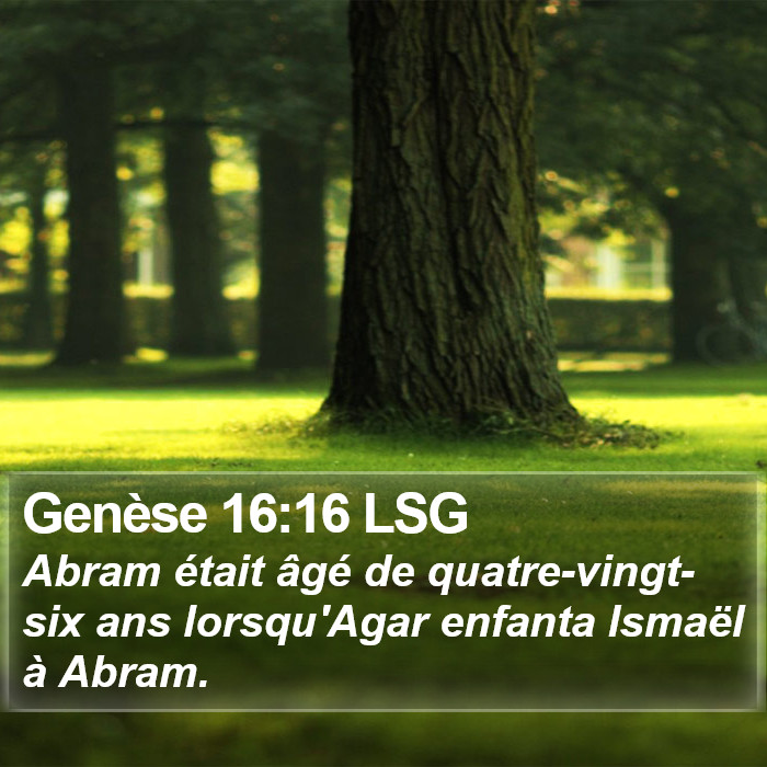 Genèse 16:16 LSG Bible Study