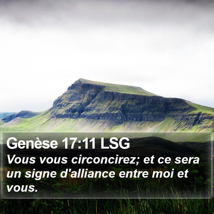 Genèse 17:11 LSG Bible Study