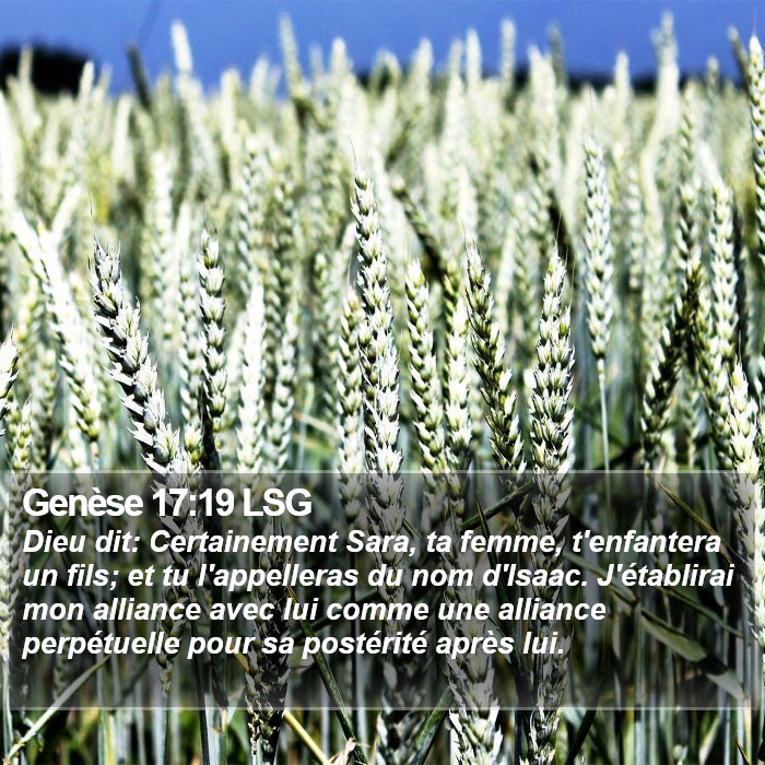 Genèse 17:19 LSG Bible Study