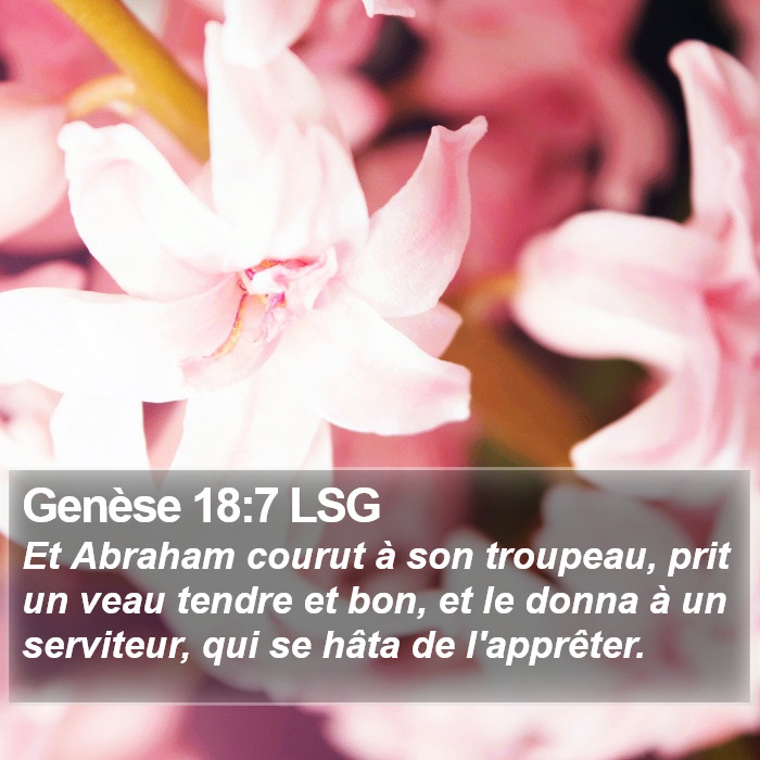Genèse 18:7 LSG Bible Study