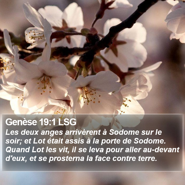 Genèse 19:1 LSG Bible Study