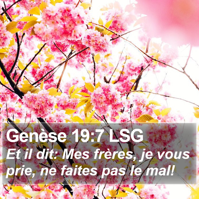 Genèse 19:7 LSG Bible Study