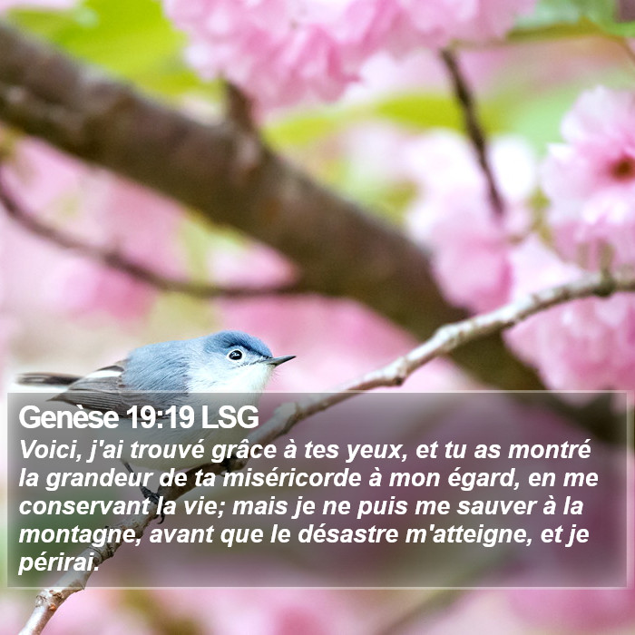 Genèse 19:19 LSG Bible Study