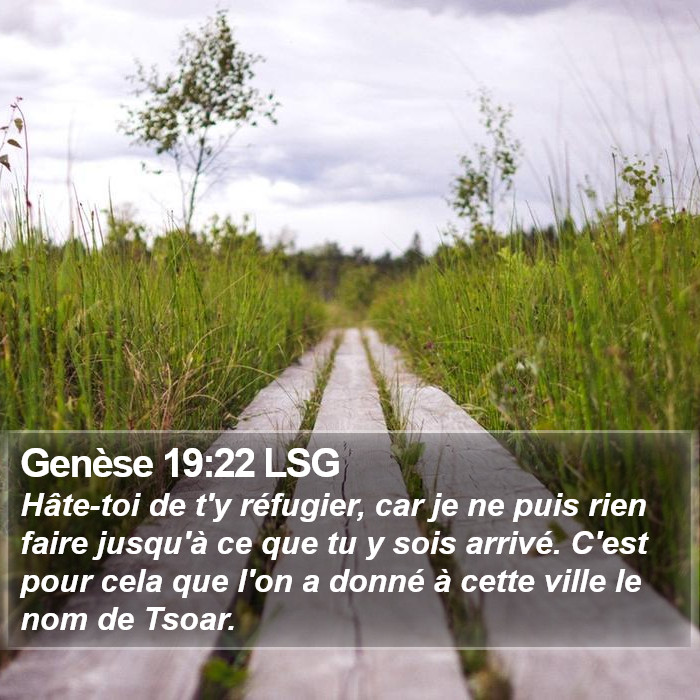 Genèse 19:22 LSG Bible Study