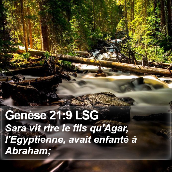 Genèse 21:9 LSG Bible Study