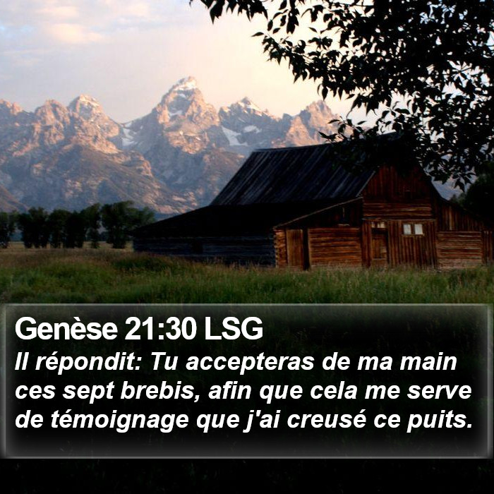 Genèse 21:30 LSG Bible Study
