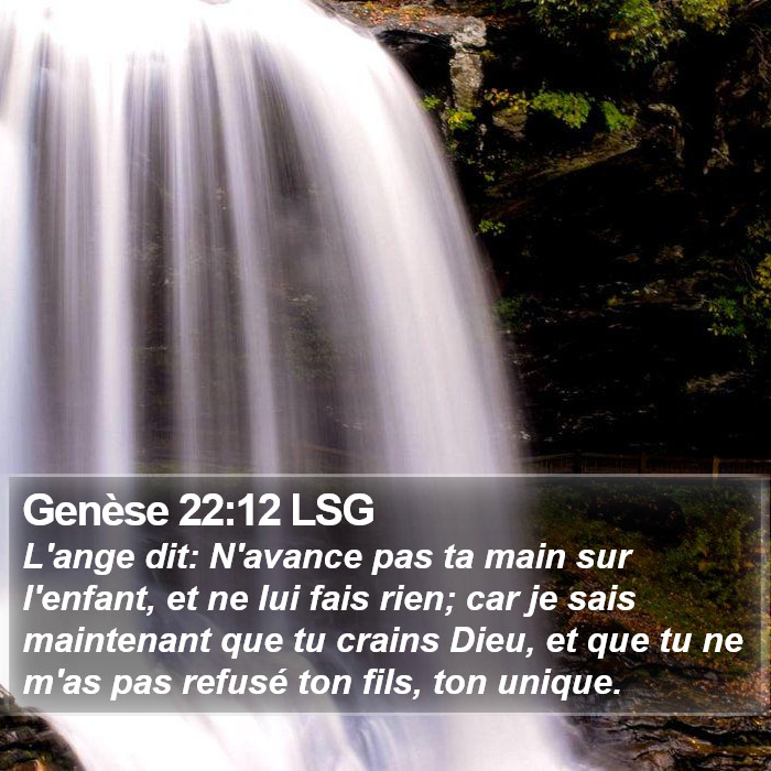 Genèse 22:12 LSG Bible Study