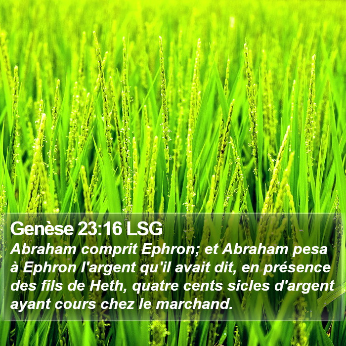 Genèse 23:16 LSG Bible Study
