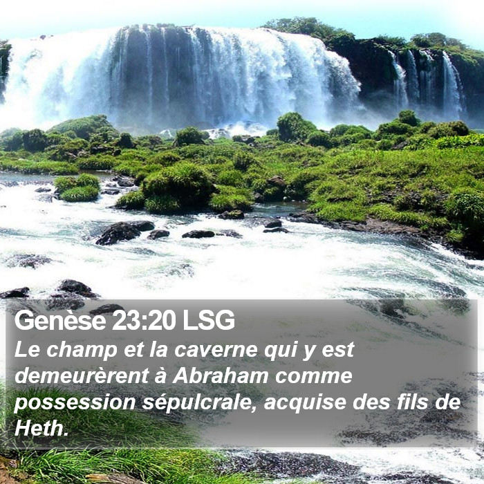 Genèse 23:20 LSG Bible Study
