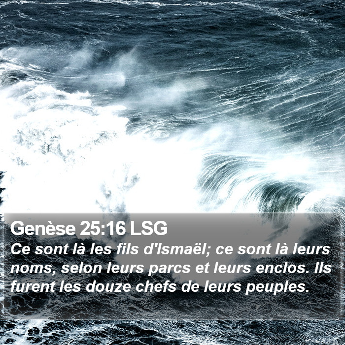 Genèse 25:16 LSG Bible Study