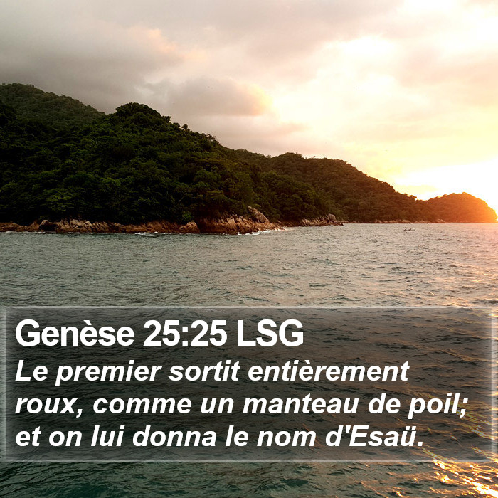 Genèse 25:25 LSG Bible Study