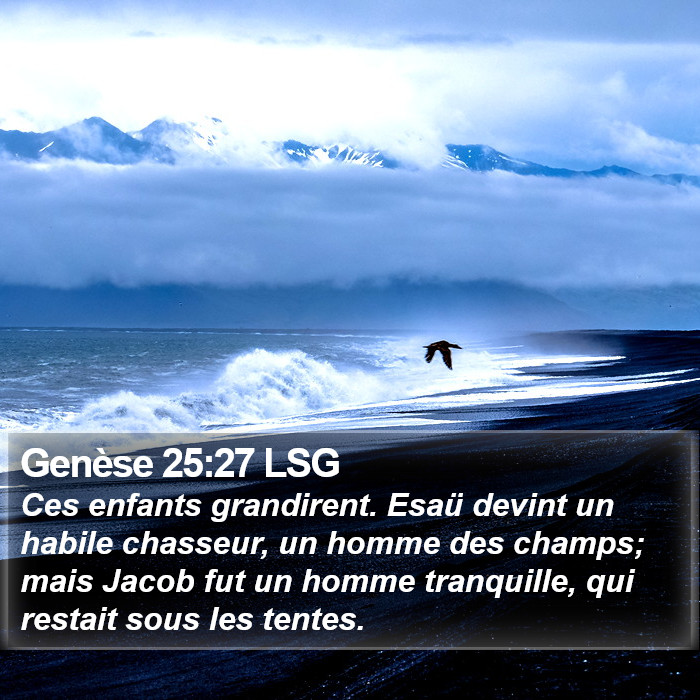 Genèse 25:27 LSG Bible Study