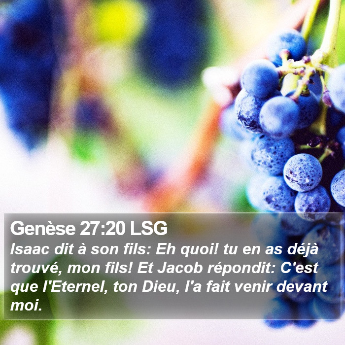 Genèse 27:20 LSG Bible Study