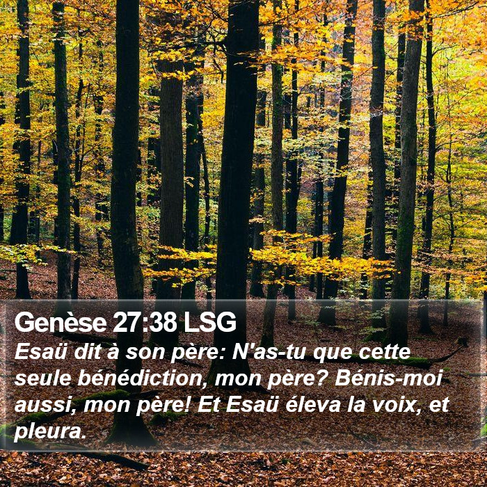 Genèse 27:38 LSG Bible Study