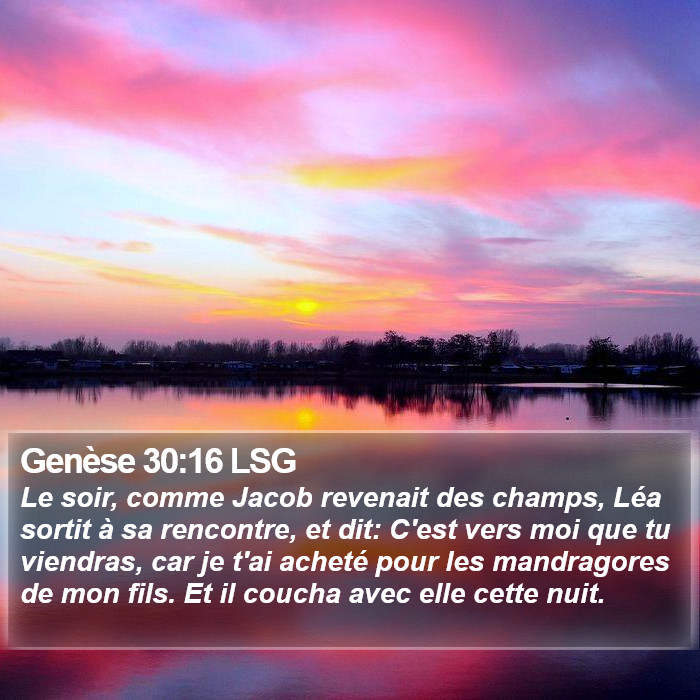 Genèse 30:16 LSG Bible Study