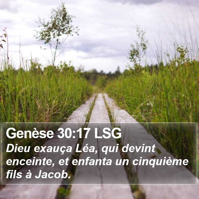 Genèse 30:17 LSG Bible Study