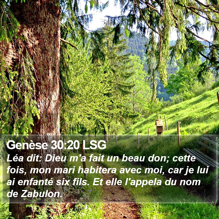 Genèse 30:20 LSG Bible Study