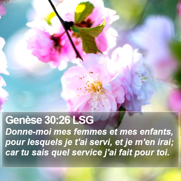 Genèse 30:26 LSG Bible Study