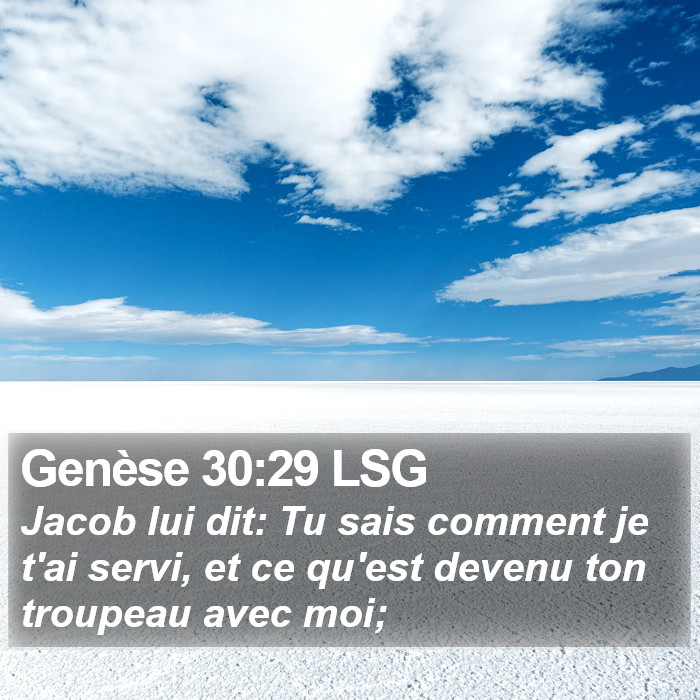 Genèse 30:29 LSG Bible Study