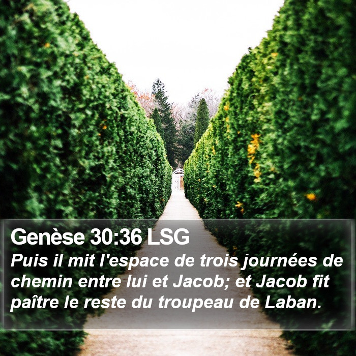 Genèse 30:36 LSG Bible Study