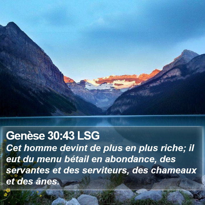 Genèse 30:43 LSG Bible Study