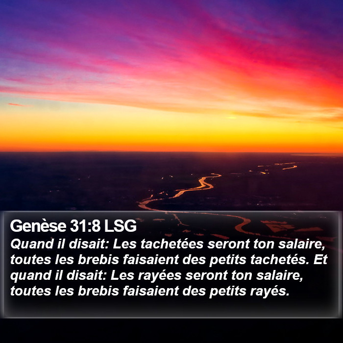 Genèse 31:8 LSG Bible Study