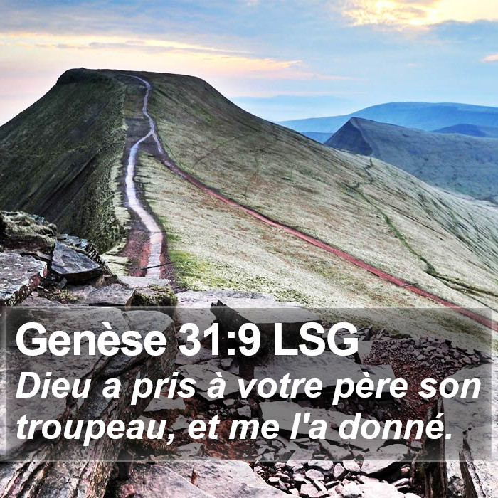 Genèse 31:9 LSG Bible Study