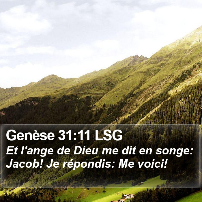 Genèse 31:11 LSG Bible Study