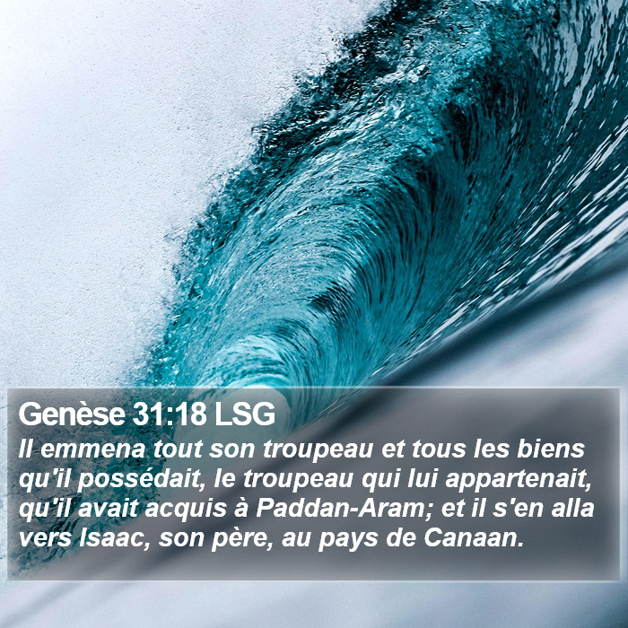 Genèse 31:18 LSG Bible Study