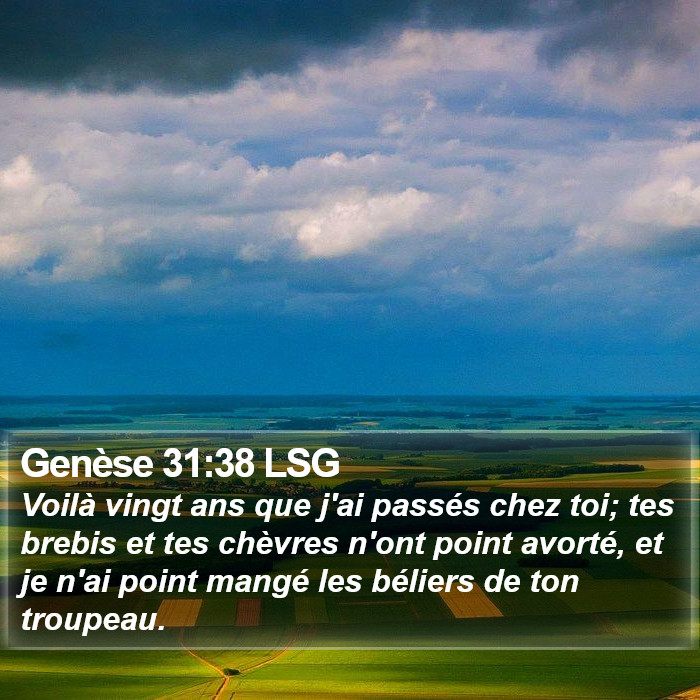 Genèse 31:38 LSG Bible Study