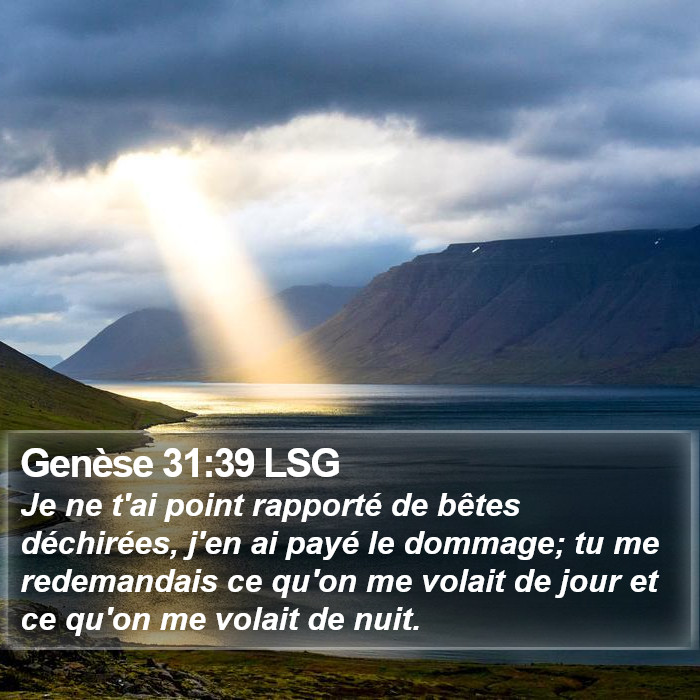 Genèse 31:39 LSG Bible Study