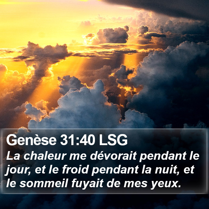 Genèse 31:40 LSG Bible Study