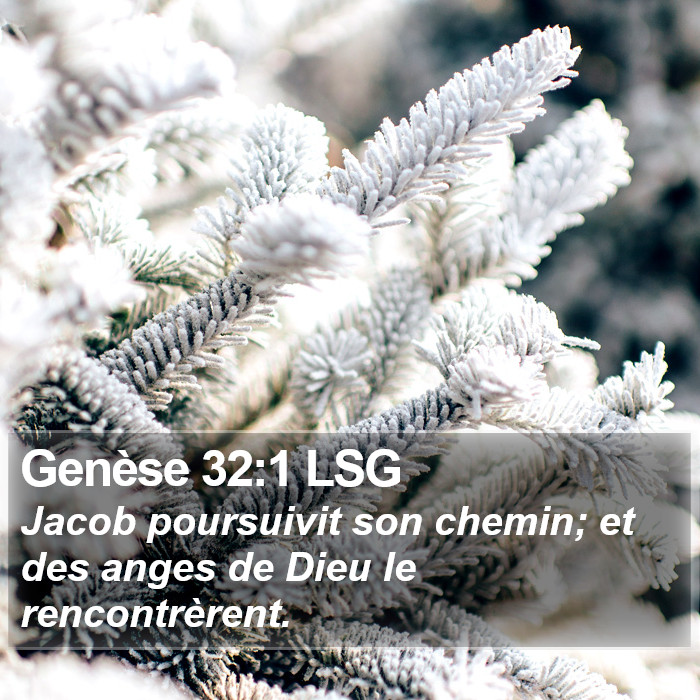 Genèse 32:1 LSG Bible Study