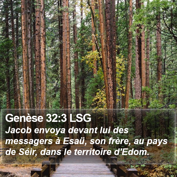 Genèse 32:3 LSG Bible Study