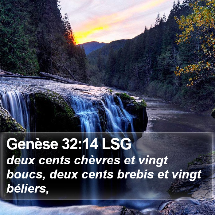 Genèse 32:14 LSG Bible Study