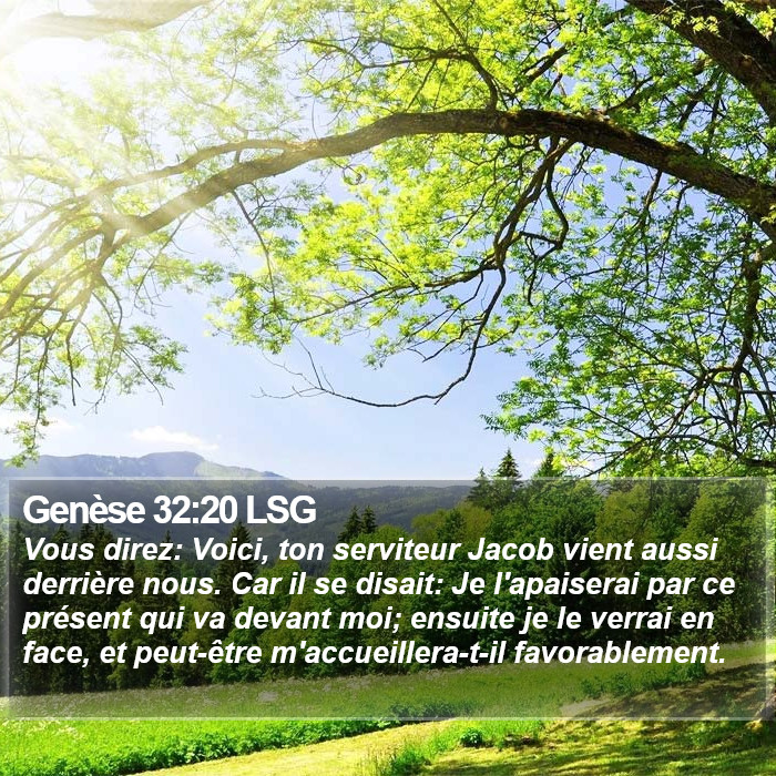 Genèse 32:20 LSG Bible Study