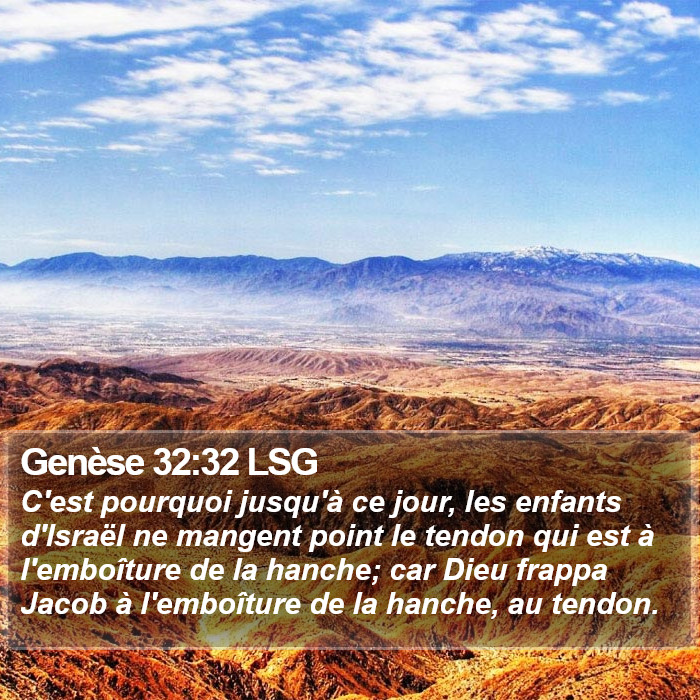 Genèse 32:32 LSG Bible Study