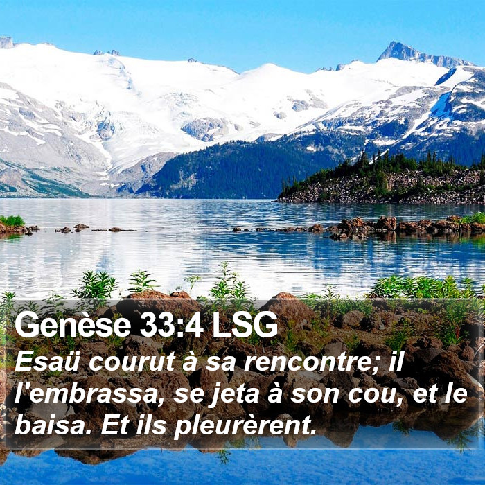 Genèse 33:4 LSG Bible Study