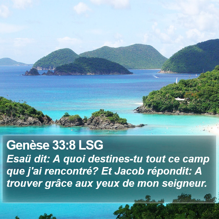 Genèse 33:8 LSG Bible Study