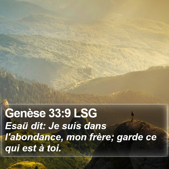 Genèse 33:9 LSG Bible Study