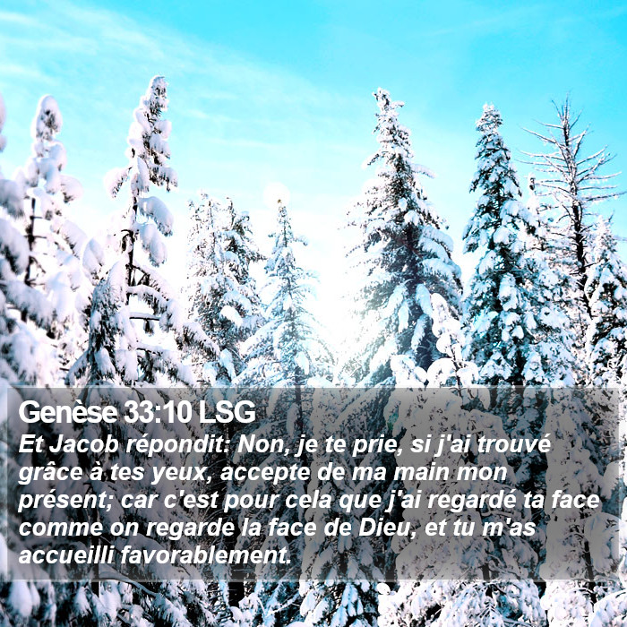 Genèse 33:10 LSG Bible Study