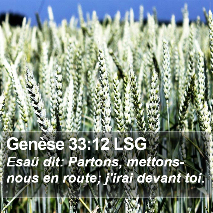 Genèse 33:12 LSG Bible Study